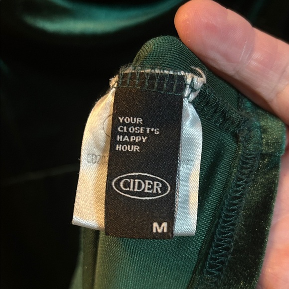 Cider Deep Green Velvet Dress - Picture 2 of 2